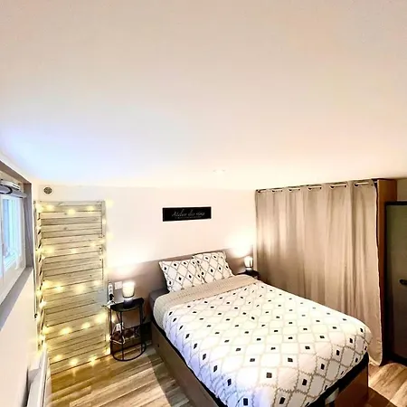 Le Camille Charming With Garden 5 Min Chu Apartment Poitiers