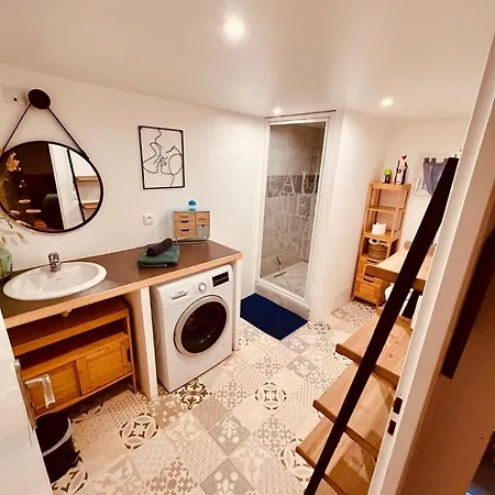 Apartment Le Camille Charming With Garden 5 Min Chu