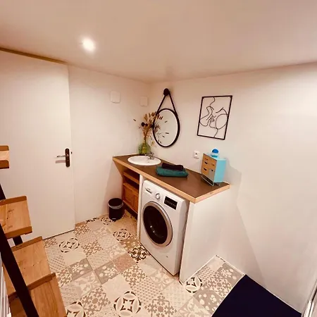 Apartment Le Camille Charming With Garden 5 Min Chu