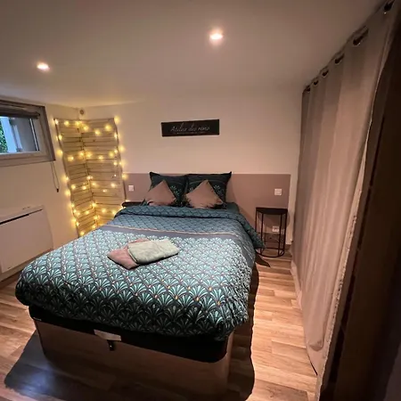 Le Camille Charming With Garden 5 Min Chu Apartment *