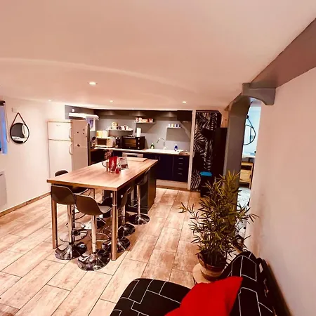 Le Camille Charming With Garden 5 Min Chu * Poitiers