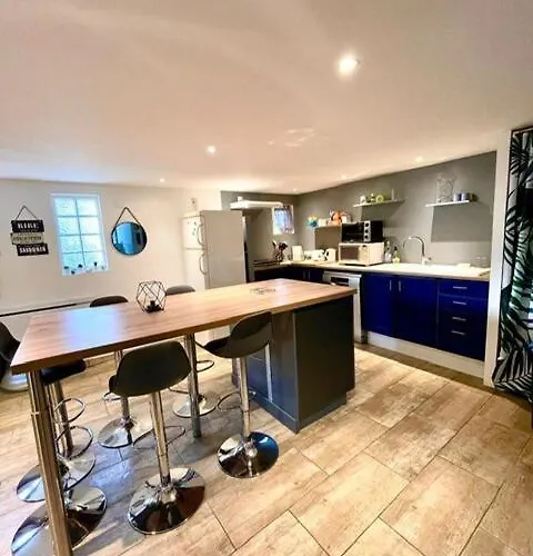 Apartment Le Camille Charming With Garden 5 Min Chu