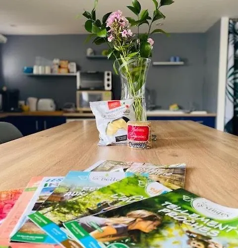 Le Camille Charming With Garden 5 Min Chu Apartment