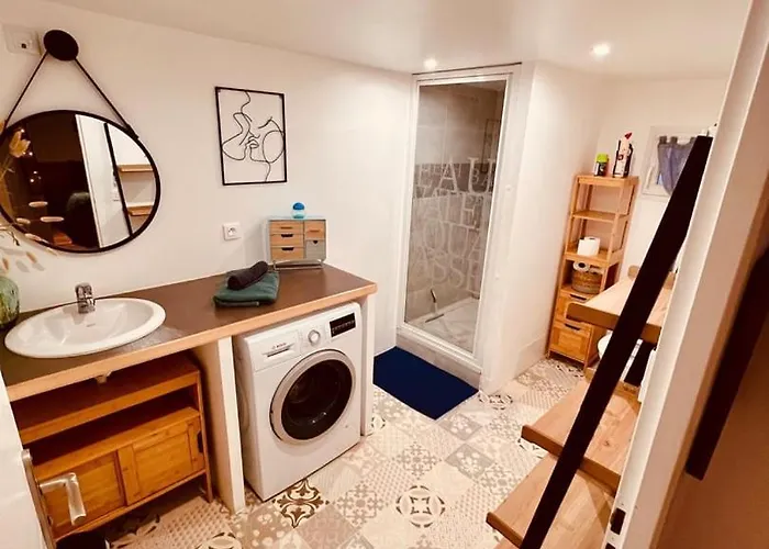 Apartment Le Camille Charming With Garden 5 Min Chu