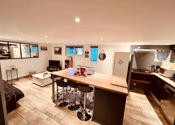 Apartment Le Camille Charming With Garden 5 Min Chu *