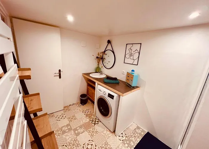 Apartment Le Camille Charming With Garden 5 Min Chu