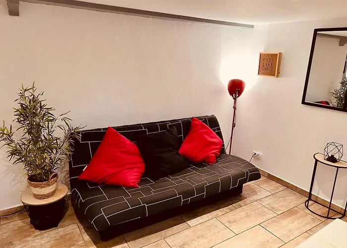 Apartment Le Camille Charming With Garden 5 Min Chu *