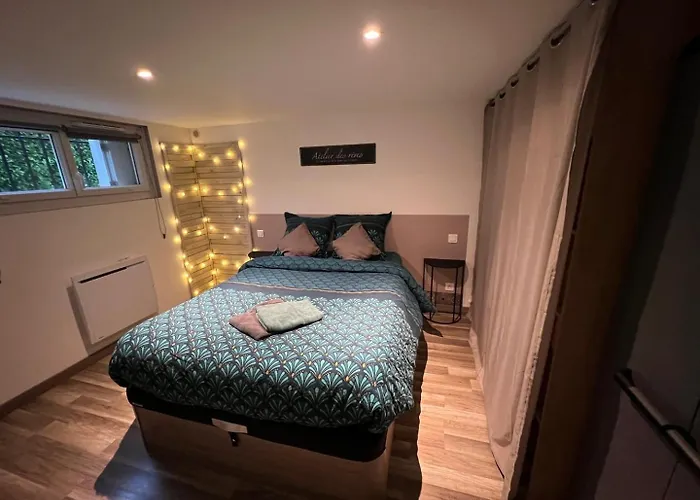 Le Camille Charming With Garden 5 Min Chu Apartment *